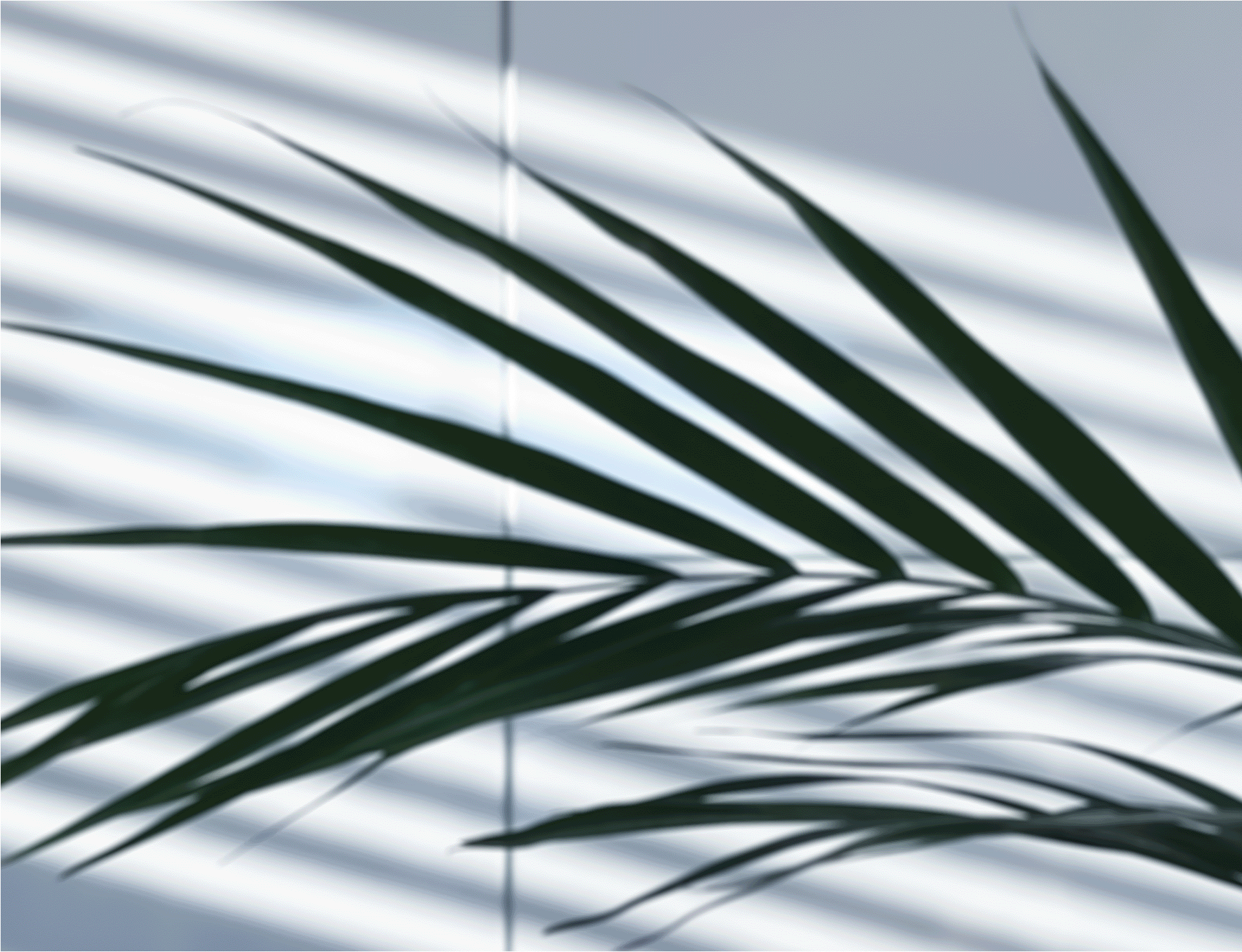 Palm branch with striped shadow in the background